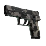 P250 | Black & Tan (Well-Worn)