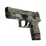 P250 | Modern Hunter (Field-Tested)