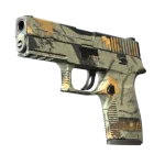 P250 | Modern Hunter (Well-Worn)