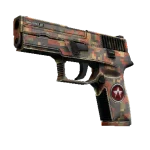 P250 | Red Rock (Minimal Wear)