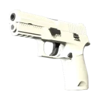 P250 | Whiteout (Minimal Wear)