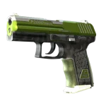 StatTrak™ P2000 | Turf (Factory New)