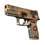 StatTrak™ P250 | Red Rock (Well-Worn)