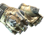 ★ Bloodhound Gloves | Bronzed (Field-Tested)