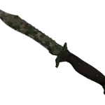 ★ Bowie Knife | Forest DDPAT (Minimal Wear)