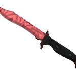 ★ Bowie Knife | Slaughter (Factory New)