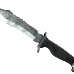 ★ Bowie Knife | Stained (Field-Tested)