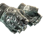★ Broken Fang Gloves | Unhinged (Field-Tested)