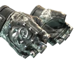 ★ Broken Fang Gloves | Unhinged (Minimal Wear)