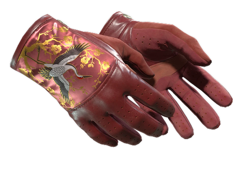 ★ Driver Gloves | Brocade Crane (Minimal Wear) - Image 1