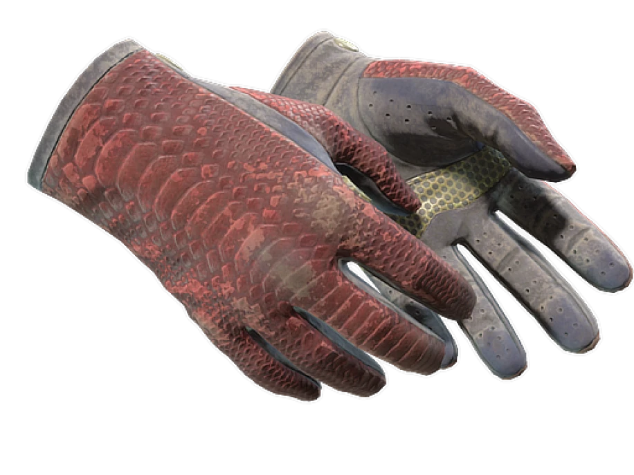 ★ Driver Gloves | Dragon Fists (Battle-Scarred) - Image 1