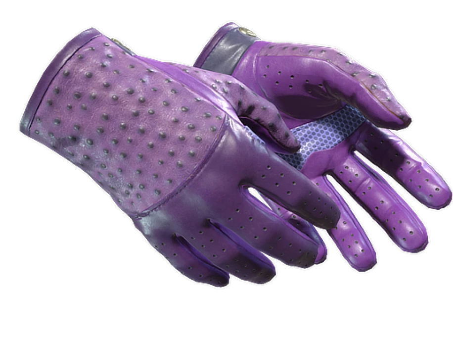 ★ Driver Gloves | Plum Quill (Minimal Wear) - Image 1