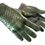 ★ Driver Gloves | Racing Green (Well-Worn)