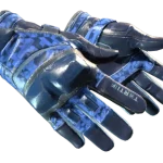 ★ Moto Gloves | Polygon (Field-Tested)