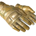 ★ Moto Gloves | Transport (Minimal Wear)