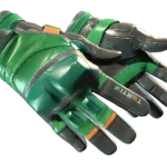 ★ Moto Gloves | Turtle (Minimal Wear)