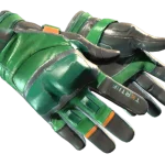 ★ Moto Gloves | Turtle (Well-Worn)