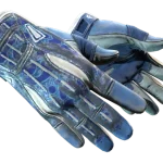 ★ Sport Gloves | Amphibious (Battle-Scarred)
