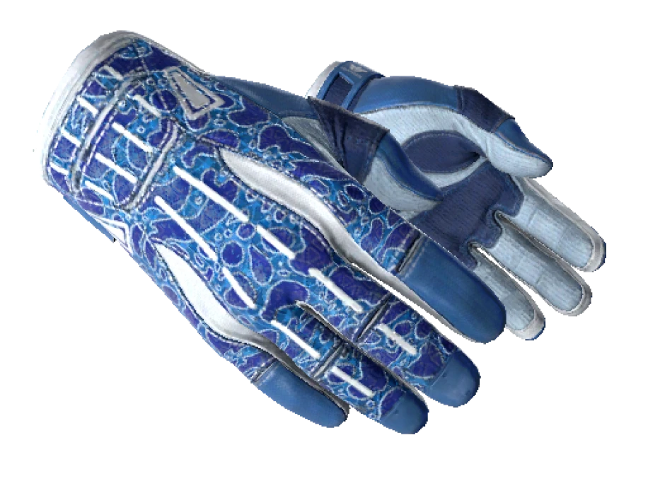★ Sport Gloves | Amphibious (Factory New) - Image 1