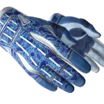 ★ Sport Gloves | Amphibious (Minimal Wear)
