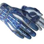 ★ Sport Gloves | Amphibious (Well-Worn)