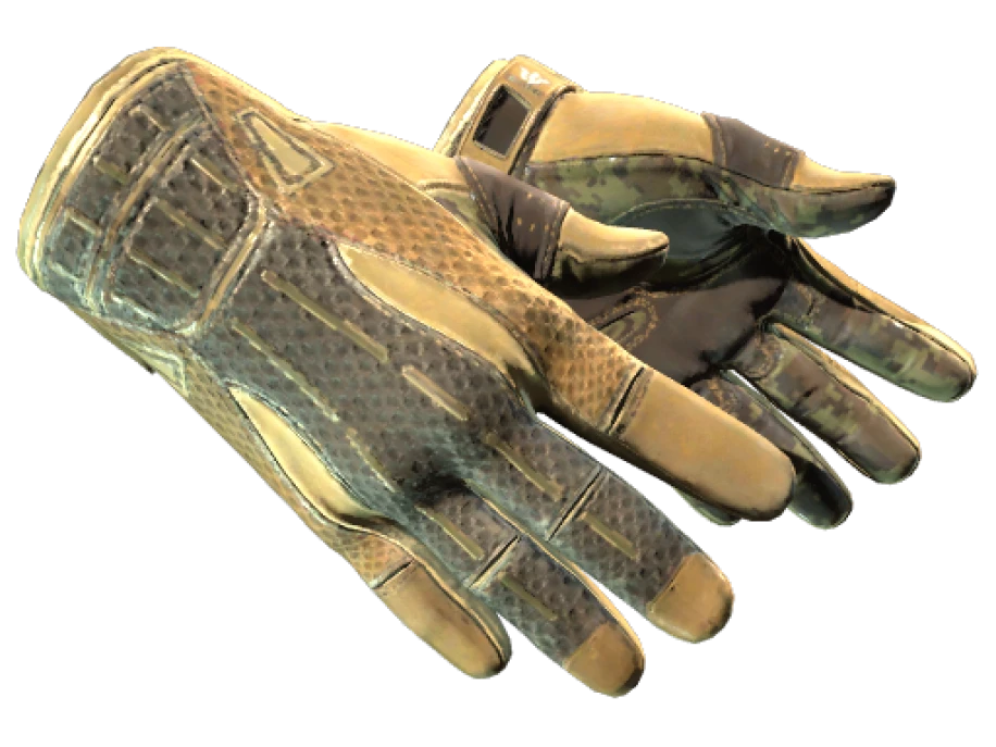 ★ Sport Gloves | Arid (Well-Worn) - Image 1
