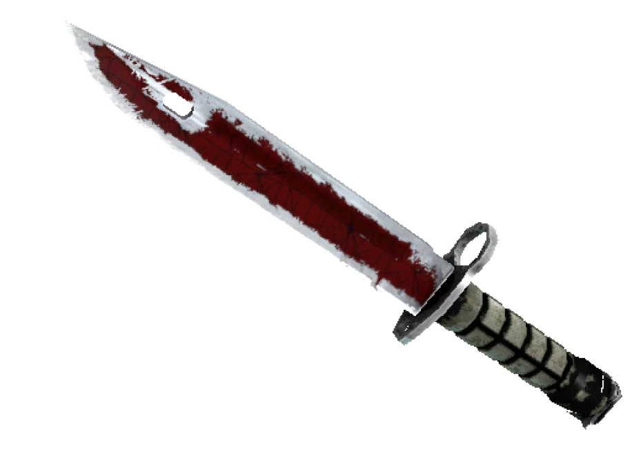 ★ StatTrak™ Bayonet | Crimson Web (Battle-Scarred) - Image 1