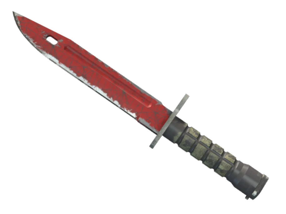 ★ StatTrak™ Bayonet | Crimson Web (Field-Tested) - Image 1