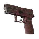 P250 | Contaminant (Well-Worn)