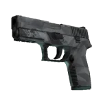 P250 | Facets (Field-Tested)