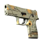 P250 | Modern Hunter (Minimal Wear)