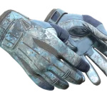 ★ Sport Gloves | Frosty (Well-Worn)