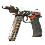 CZ75-Auto | Hydraulics (Well-Worn)