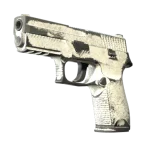 P250 | Whiteout (Battle-Scarred)