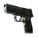 StatTrak™ P250 | Cartel (Battle-Scarred)