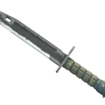 ★ Bayonet | Night (Battle-Scarred)