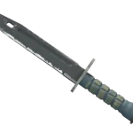 ★ Bayonet | Night (Well-Worn)