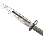 ★ Bayonet | Stained (Factory New)