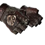 ★ Broken Fang Gloves | Needle Point (Factory New)