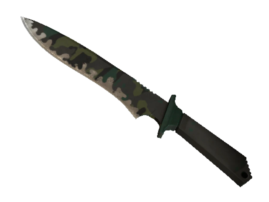 ★ Classic Knife | Boreal Forest (Well-Worn) - Image 1