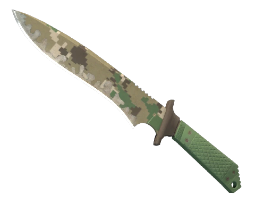 ★ Classic Knife | Forest DDPAT (Well-Worn) - Image 1