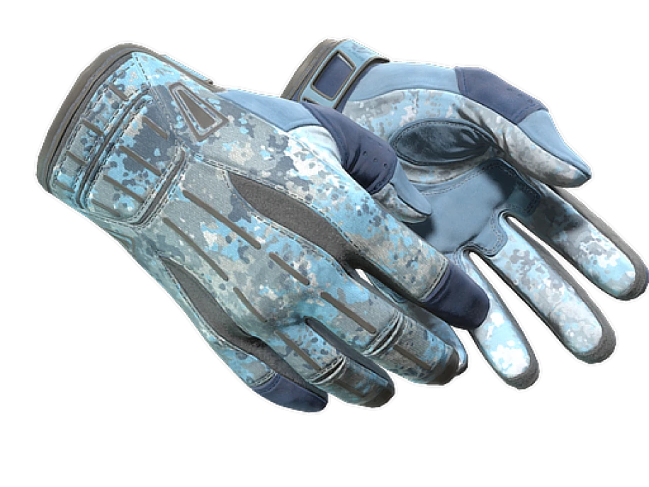 ★ Sport Gloves | Frosty (Factory New) - Image 1