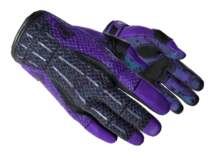 ★ Sport Gloves | Pandora's Box (Minimal Wear) - Image 1