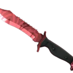★ StatTrak™ Bowie Knife | Slaughter (Factory New)