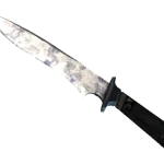 ★ StatTrak™ Classic Knife | Stained (Minimal Wear)