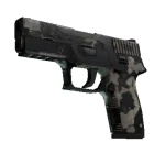 P250 | Black & Tan (Battle-Scarred)