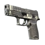 Souvenir P250 | Re.built (Field-Tested)