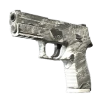 Souvenir P250 | Sleet (Field-Tested)