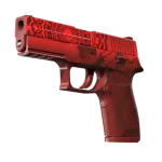StatTrak™ P250 | Muertos (Well-Worn)