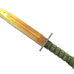 ★ Bayonet | Lore (Well-Worn)